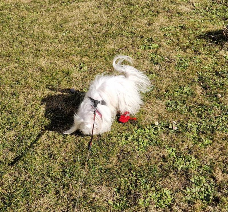 Ulvi2016 uploaded   21  day/s  ago