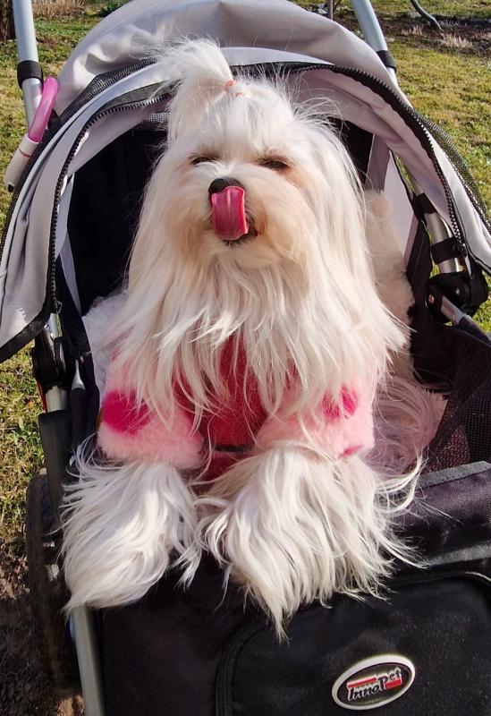 Ulvi2016 uploaded   20  day/s  ago