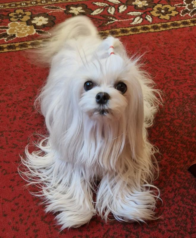 Ulvi2016 uploaded   72  day/s  ago
