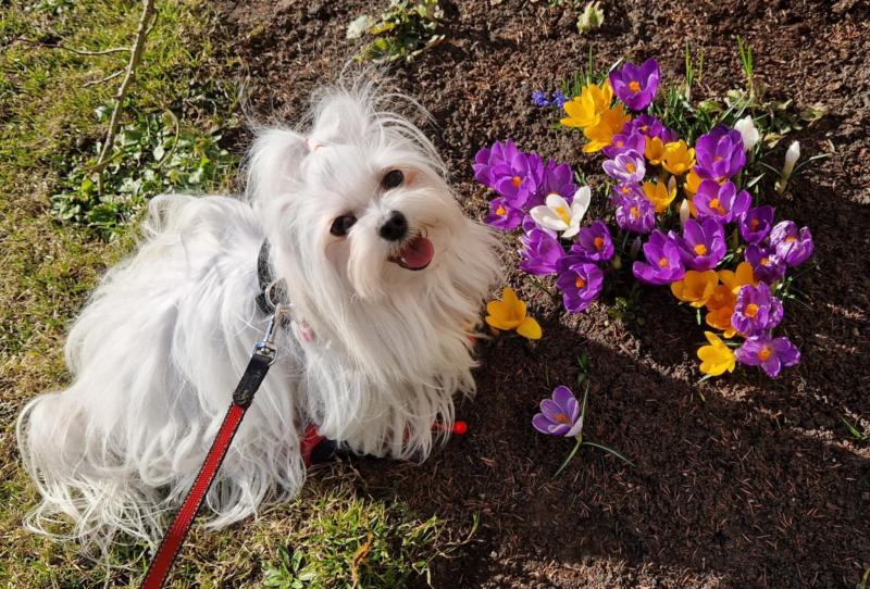 Ulvi2016 uploaded   21  day/s  ago