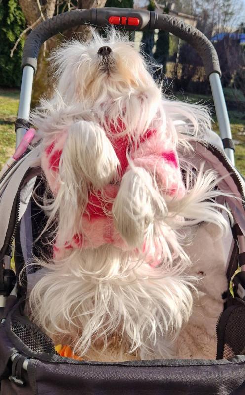 Ulvi2016 uploaded   20  day/s  ago