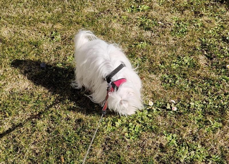 Ulvi2016 uploaded   21  day/s  ago