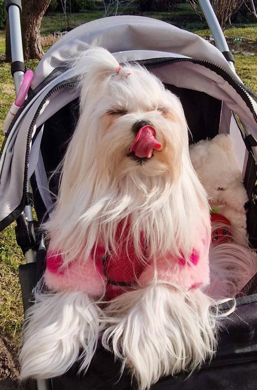 Ulvi2016 uploaded   20  day/s  ago