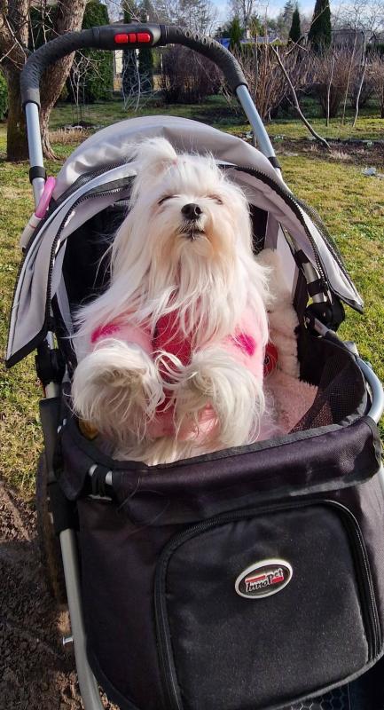 Ulvi2016 uploaded   20  day/s  ago