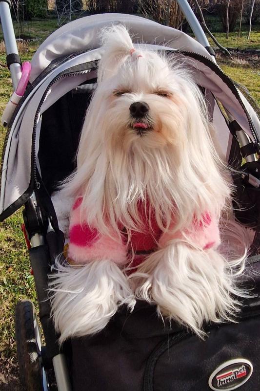 Ulvi2016 uploaded   20  day/s  ago