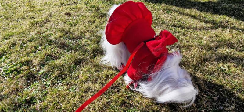 Sofia of the Ulvi2016 family