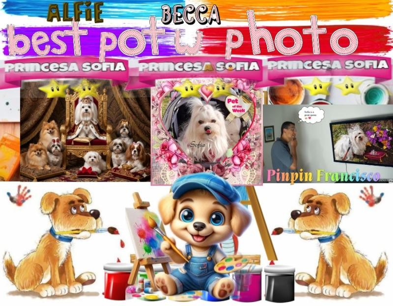 Sofia of the Ulvi2016 family