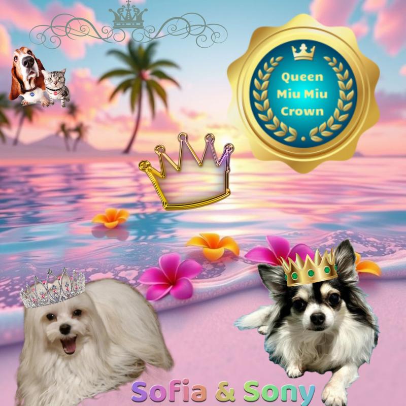 Sofia of the Ulvi2016 family
