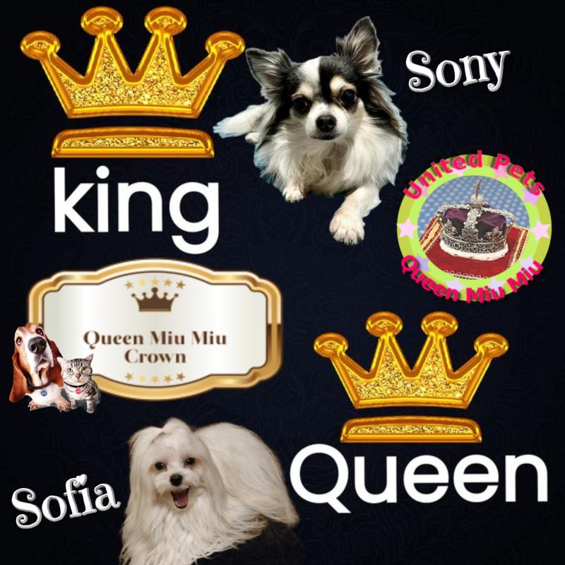 Sofia of the Ulvi2016 family