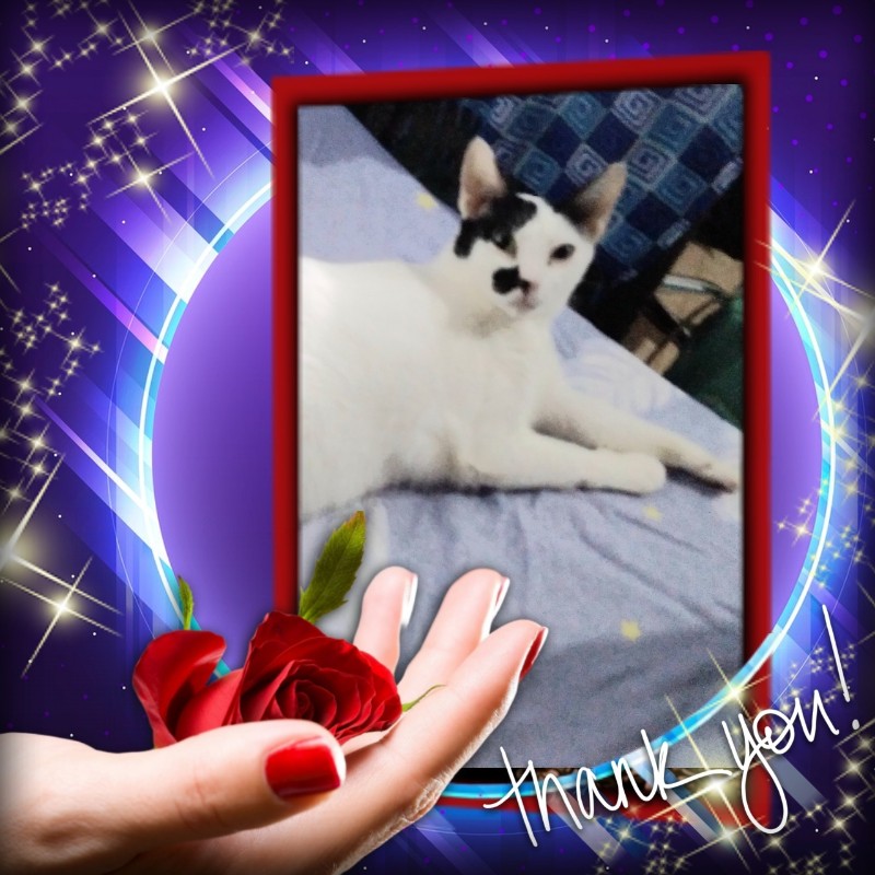 Tiffany of the Zeph317 family