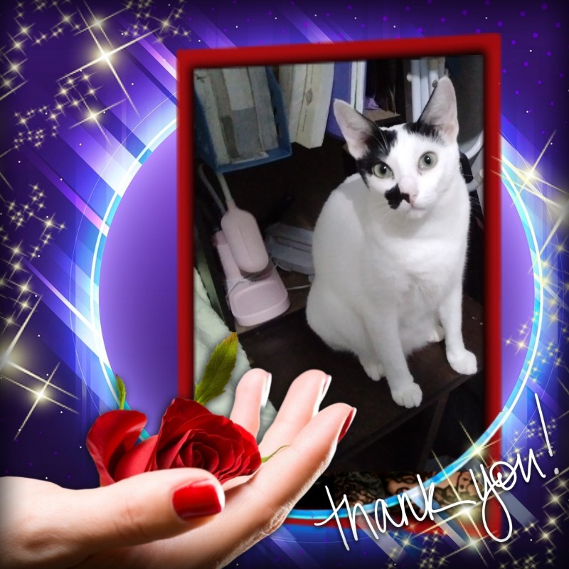 Tiffany of the Zeph317 family