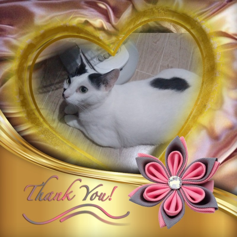 Tiffany of the Zeph317 family