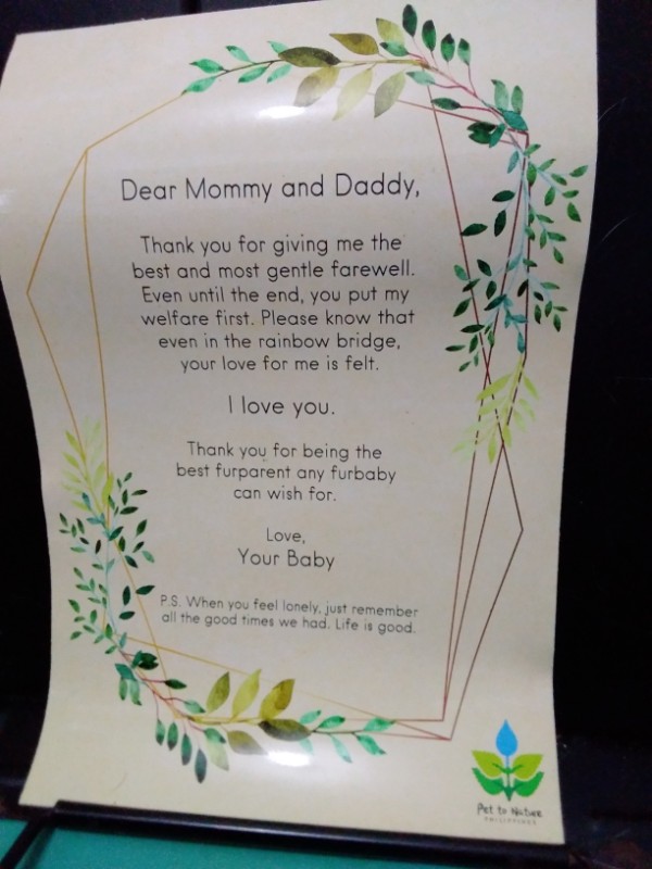 Tiffany of the Zeph317 family