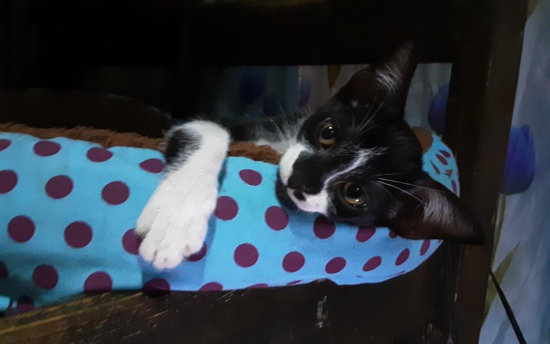 Zeph317 uploaded   5 year/s ago