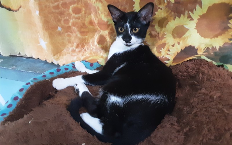 Zeph317 uploaded   4 year/s ago