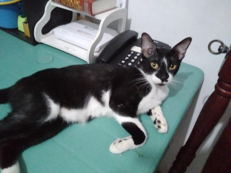 Zeph317 uploaded   4 year/s ago