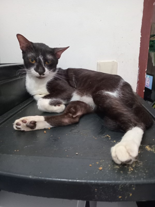 Izzy of the Zeph317 family