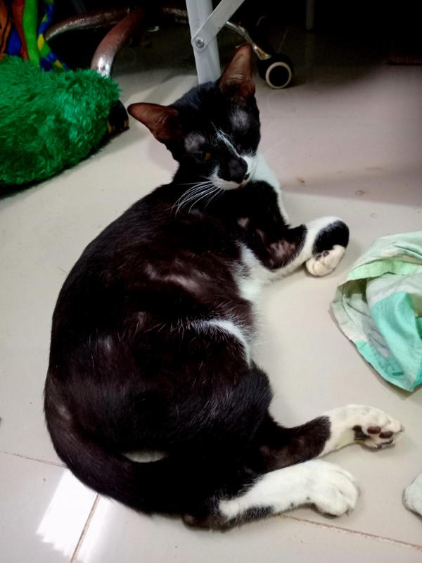 Izzy of the Zeph317 family