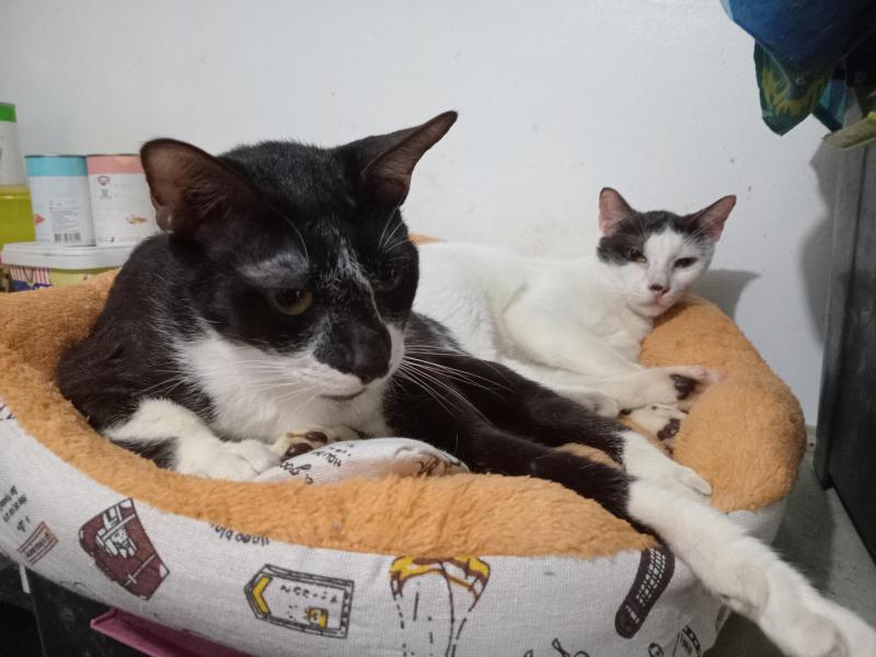 Izzy of the Zeph317 family