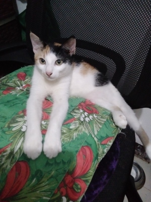 Zeph317 uploaded   1 year/s ago