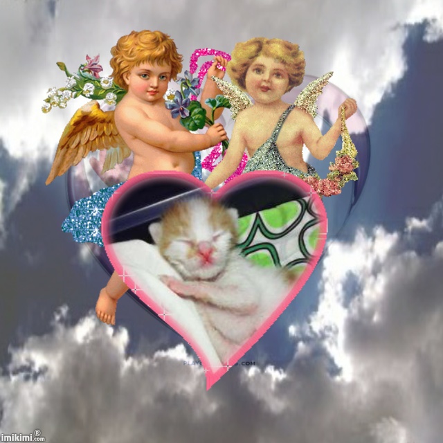 Janry of the Zeph317 family