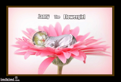 Janry of the Zeph317 family