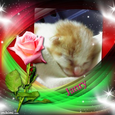 Janry of the Zeph317 family