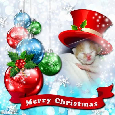 Janry of the Zeph317 family