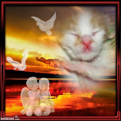 Janry of the Zeph317 family