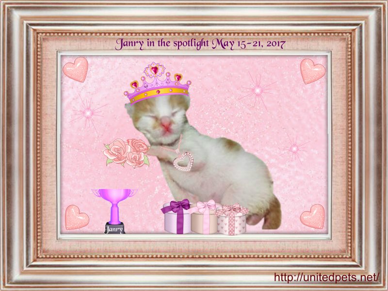 Janry of the Zeph317 family