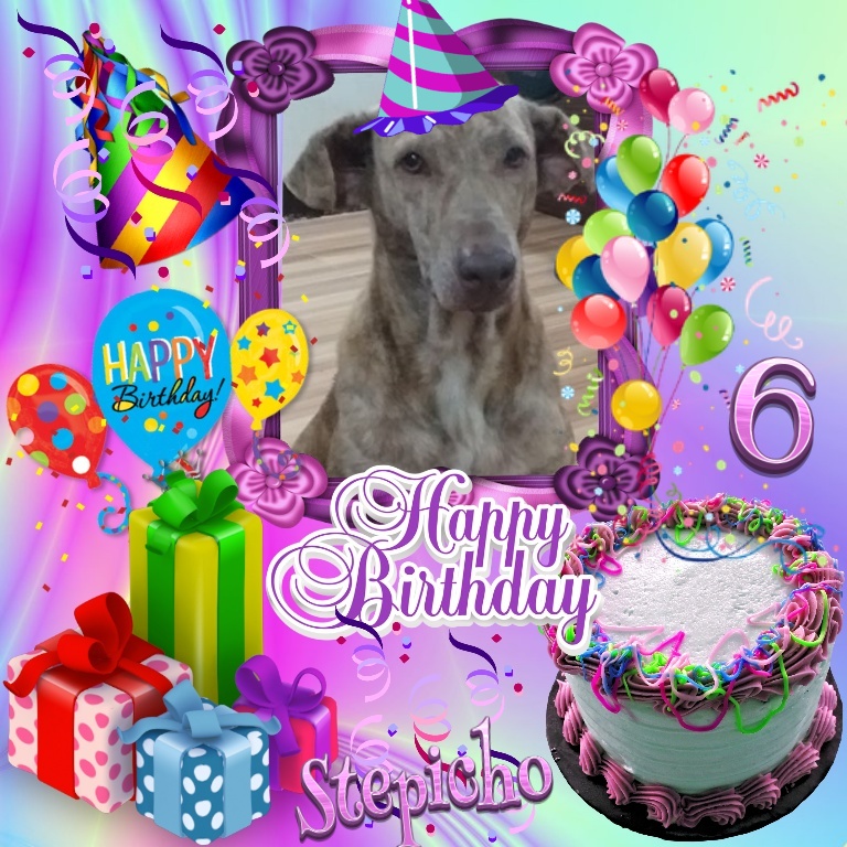 Stepicho of the animallover family