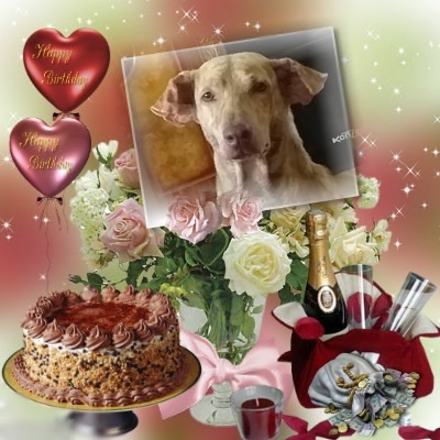 Stepicho of the animallover family