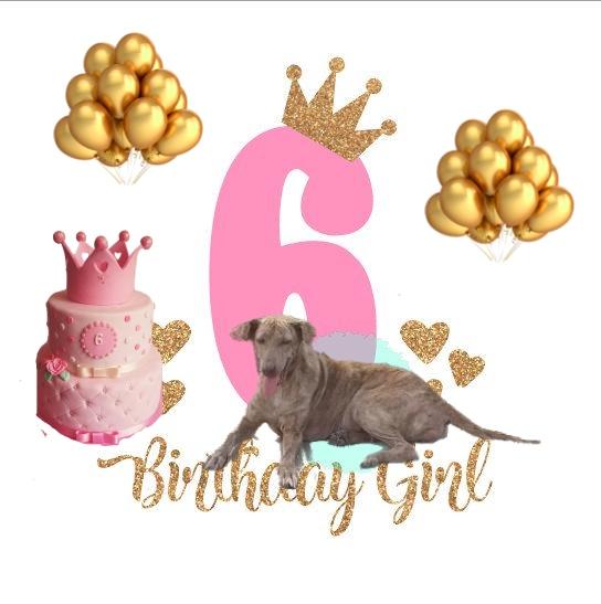 Stepicho of the animallover family