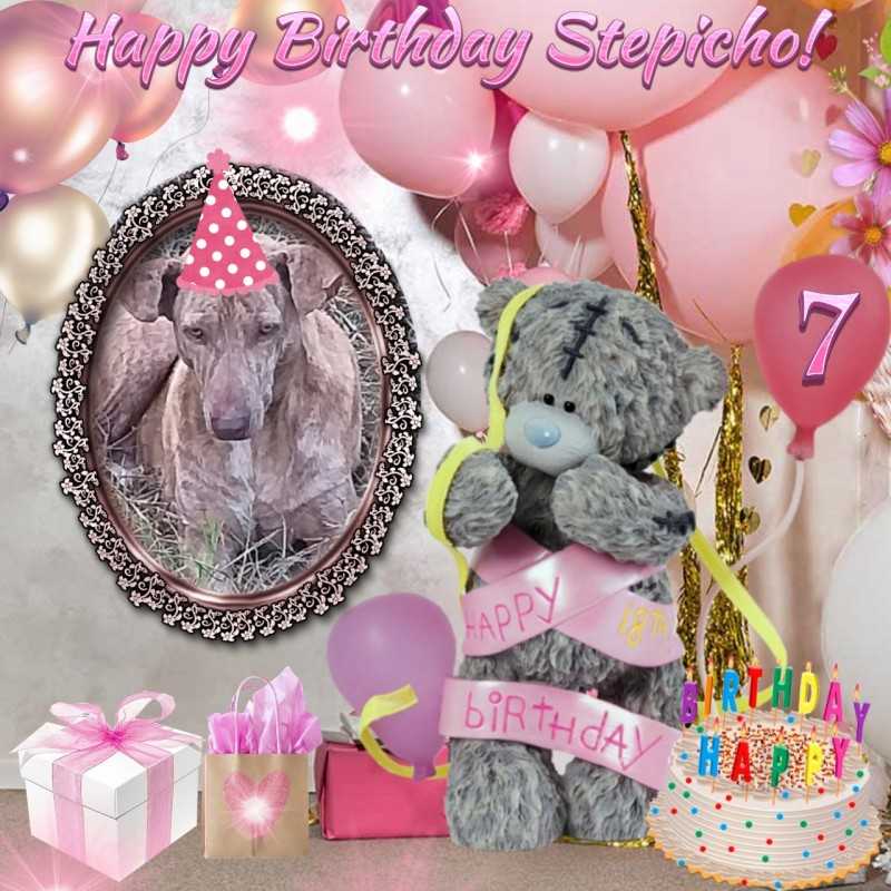 Stepicho of the animallover family