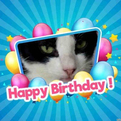 Kurapika of the animallover family