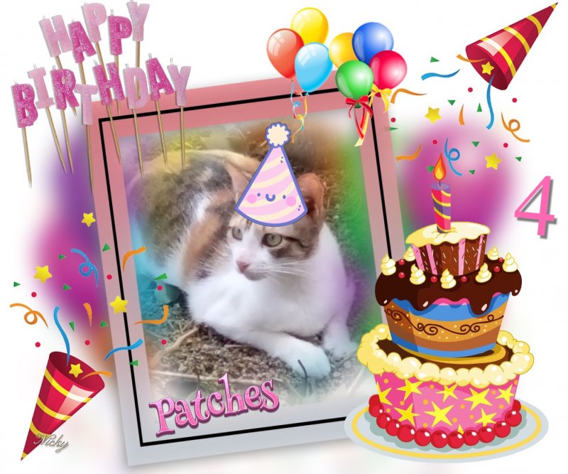 Patches of the animallover family