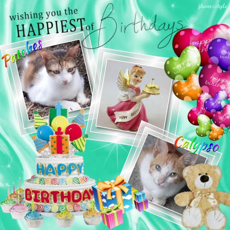 Patches of the animallover family