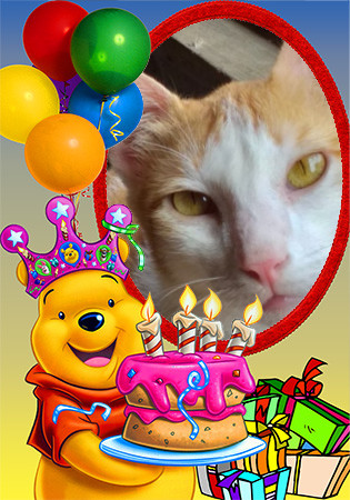 Goldie of the animallover family