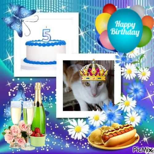 Goldie of the animallover family