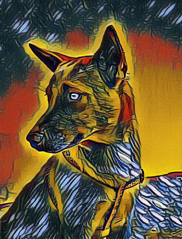 Pachie of the animallover family