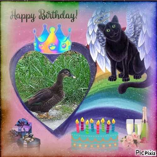 Duckie of the animallover family