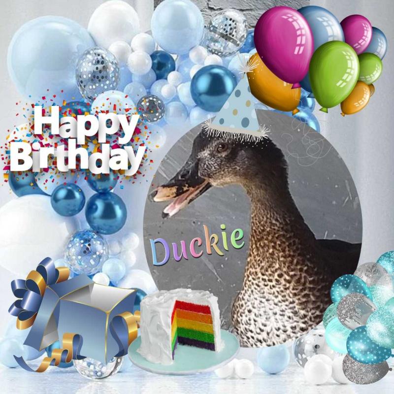 Duckie of the animallover family