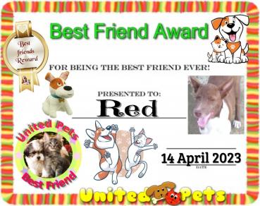 Red of the animallover family