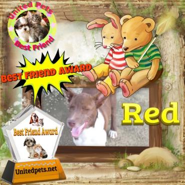 Red of the animallover family