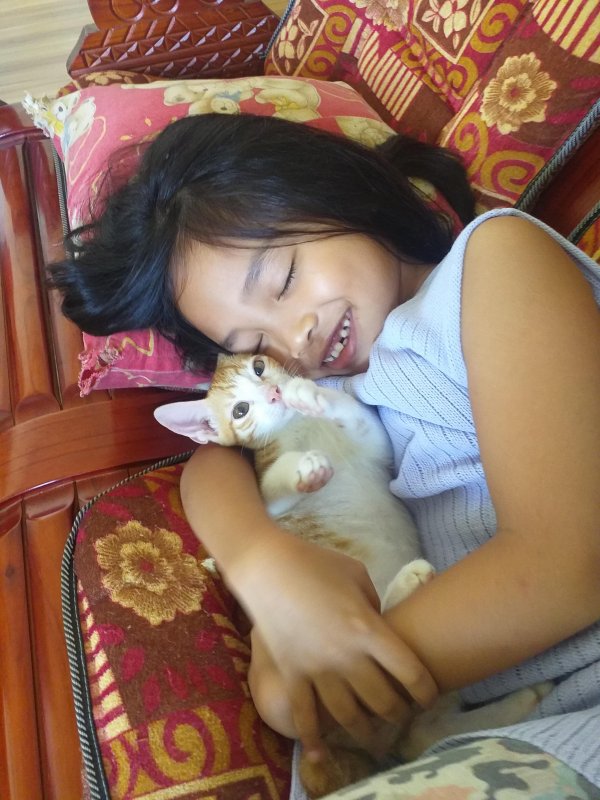 animallover uploaded   5 year/s ago