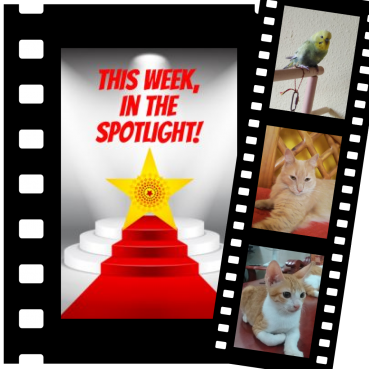 Covi of the animallover family