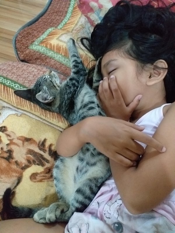 animallover uploaded   5 year/s ago