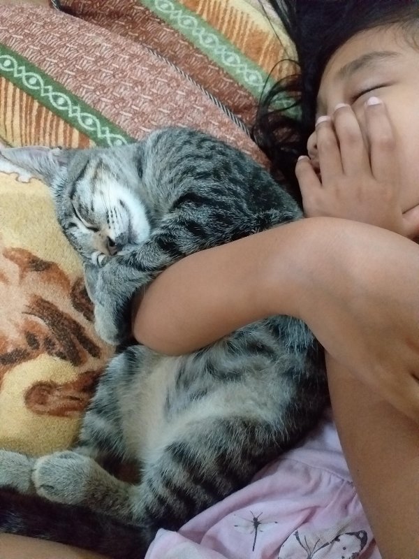 animallover uploaded   5 year/s ago