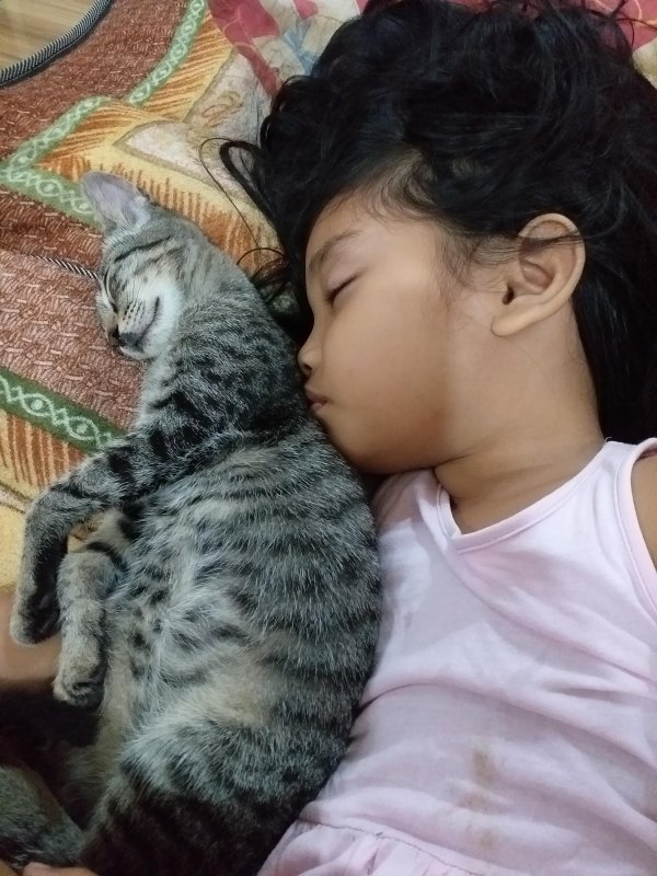 animallover uploaded   5 year/s ago