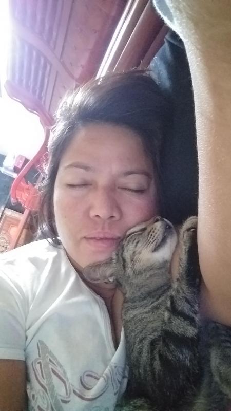 animallover uploaded   3 year/s ago